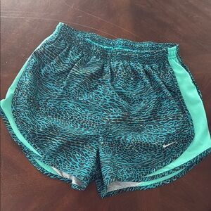 Nike Women's Teal and Black Shorts